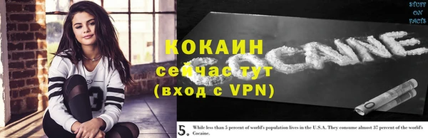 дурь Богданович