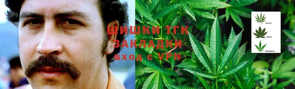 PSILOCYBIN Богородск