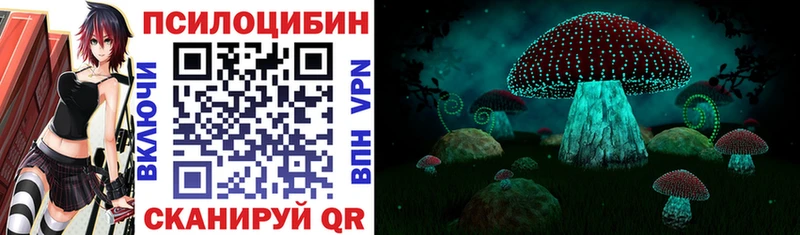Псилоцибиновые грибы Psilocybe  наркота  Дрезна 